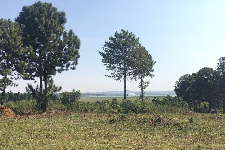 2-Hours village walk and Lake Victoria cruise from Entebbe