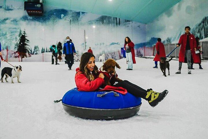 Pyramids to Penguins Sand and Snow Adventure in Cairo