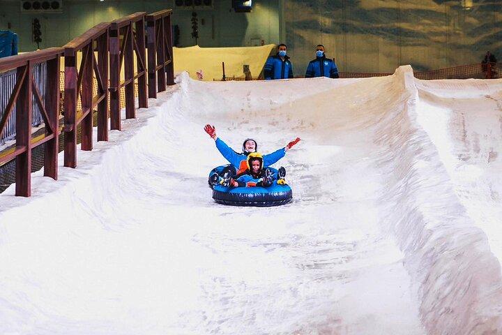 Pyramids to Penguins Sand and Snow Adventure in Cairo