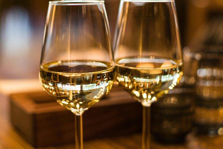 Lavaux Wine and Vineyard Experience with Boat Cruise