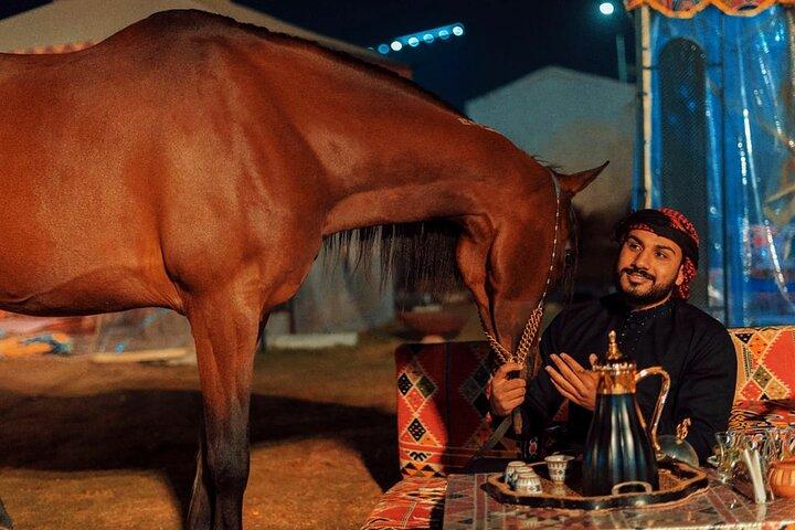 Authentic Bedouin Dining and Horse Riding in Cairo