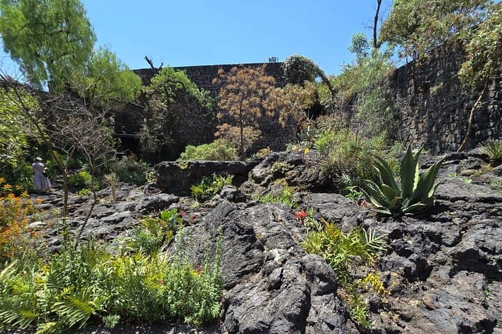 EXCLUSIVE TOUR Luis Barragán Casa Pedregal - small groups