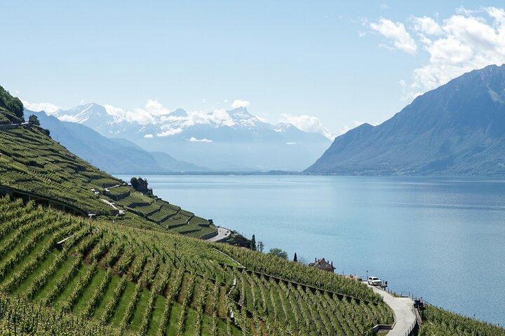 Lavaux Wine and Vineyard Experience with Boat Cruise