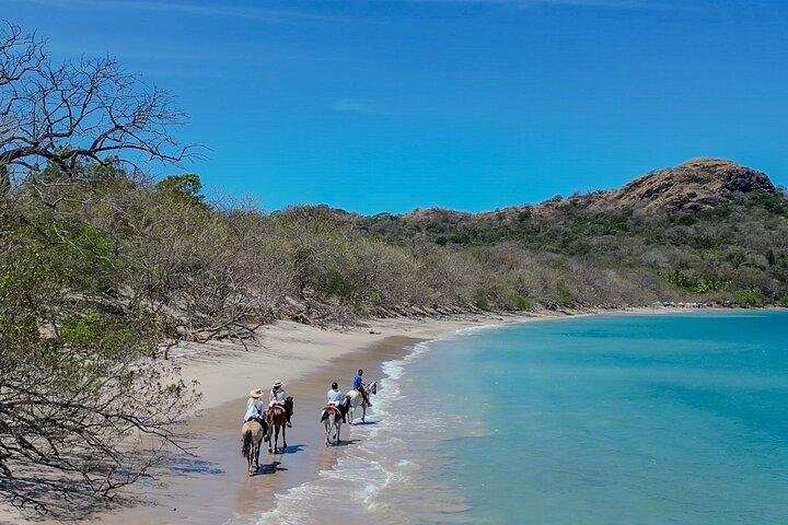 Conchal Beach Horseback Riding - 1hr 30min Guided Tour