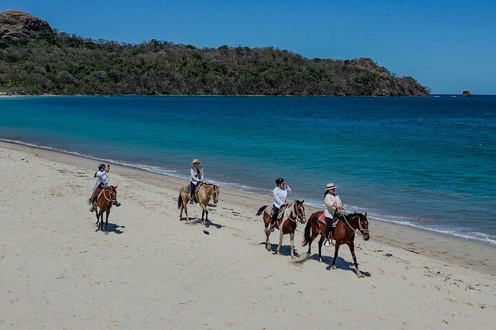 Conchal Beach Horseback Riding - 1hr 30min Guided Tour