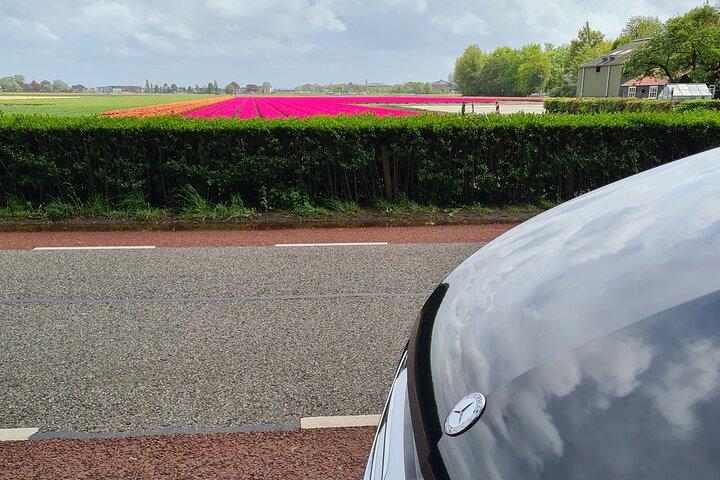 Amsterdam Keukenhof Gardens Round-Trip Transfer from Amsterdam