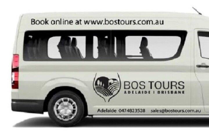 Deluxe Springbrook & Mt Tamborine Glow Worms and famous Skywalk