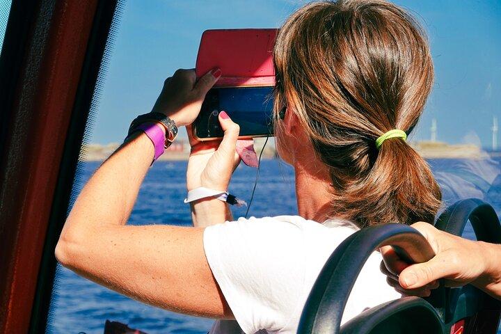 Copenhagen Bus and Boat ticket, Valid 48 Hours