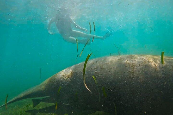 San Juan Snorkel with Turtles and Manatee's; Free Video and Rum!