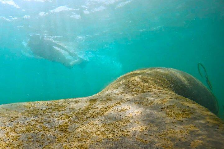 San Juan Snorkel with Turtles and Manatee's; Free Video and Rum!