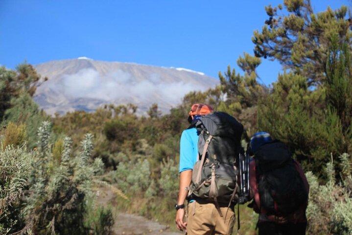 7 Days Machame Route Private tour