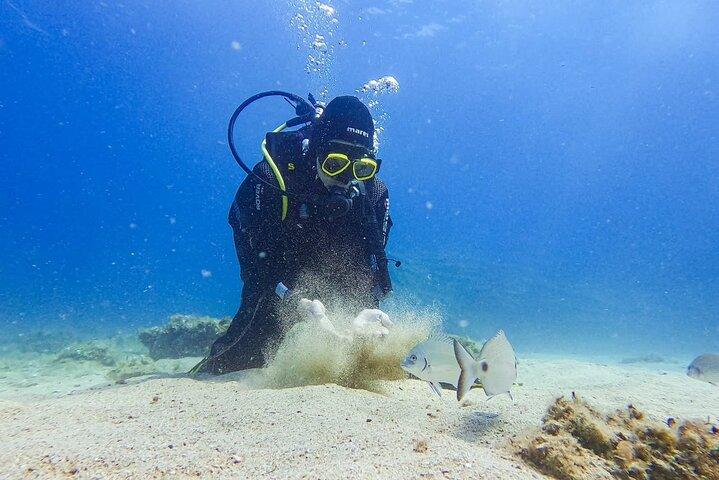 Try Scuba Diving in Budva: Boat Experience & Underwater Tunnels