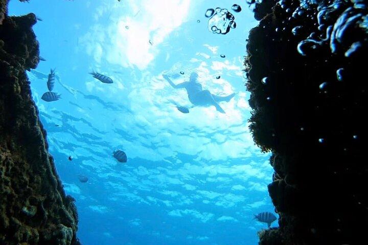 Barbados Catamaran Snorkeling Turtle and Shipwrecks tour