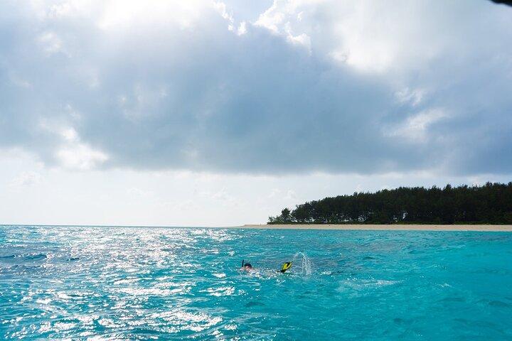 Full Day Adventure and Sunset Paradise Beach Zanzibar