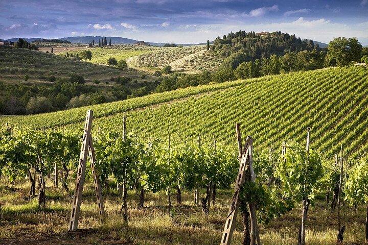 Florence, Siena & San Gimignano with Chianti Wine Tasting