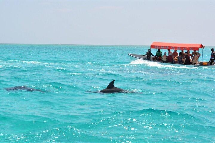 Full Day Adventure and Sunset Paradise Beach Zanzibar