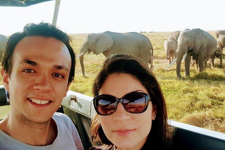 5 Days Masai Mara Budget Tented Camping Safari from Nairobi