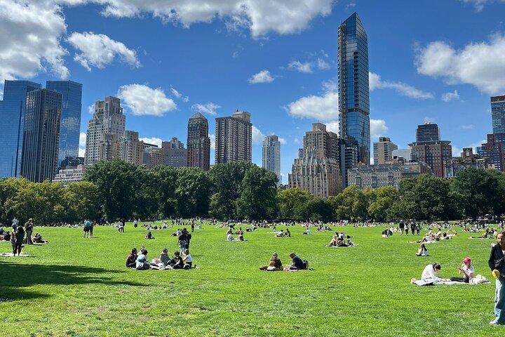 Central Park Private Pedicab Guided Tours