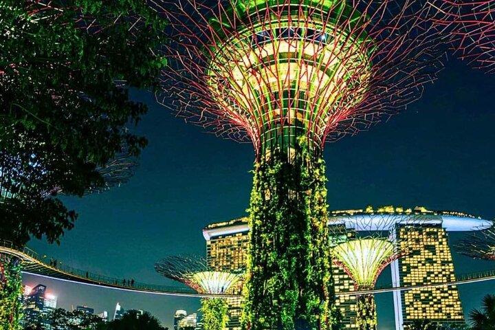 Singapore by Night: River Cruise, Light Shows & Iconic Lau Pa Sat