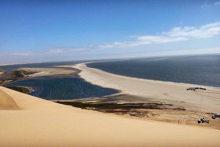 Pangaea Tours - Combo Sandwich Harbour + Dolphin & Seal Cruise