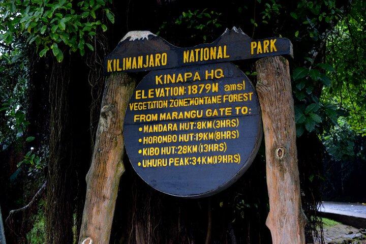 Kilimanjaro Day Hike: Marangu Route or Machame Route