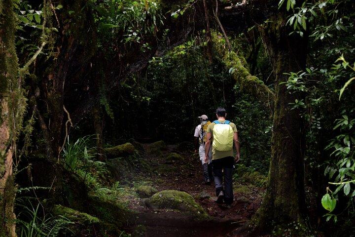 Kilimanjaro Day Hike: Marangu Route or Machame Route