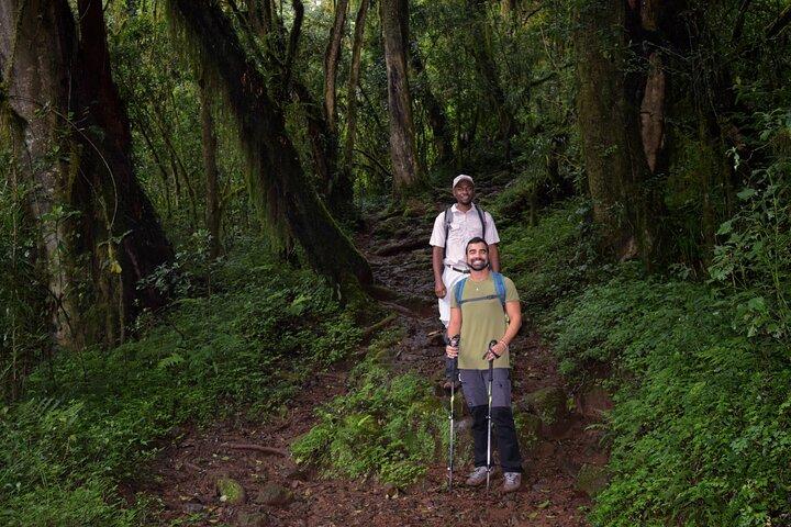 Kilimanjaro Day Hike: Marangu Route or Machame Route