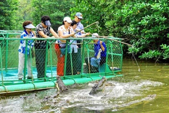 Private Vam Sat Mangrove Safari and Monkey Island Tour
