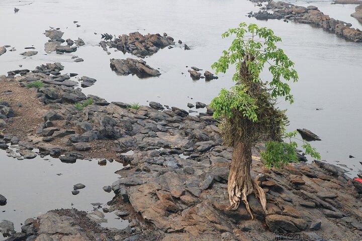 Experience South Cameroon Safari 4 Days 3 Nights