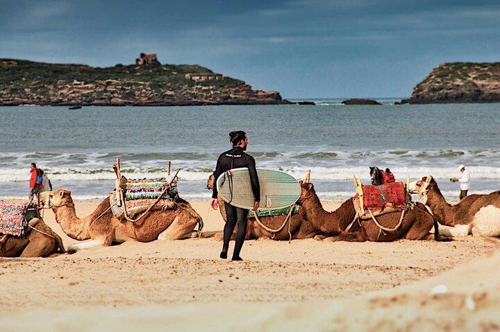 Day Trip to Essaouira from Marrakech