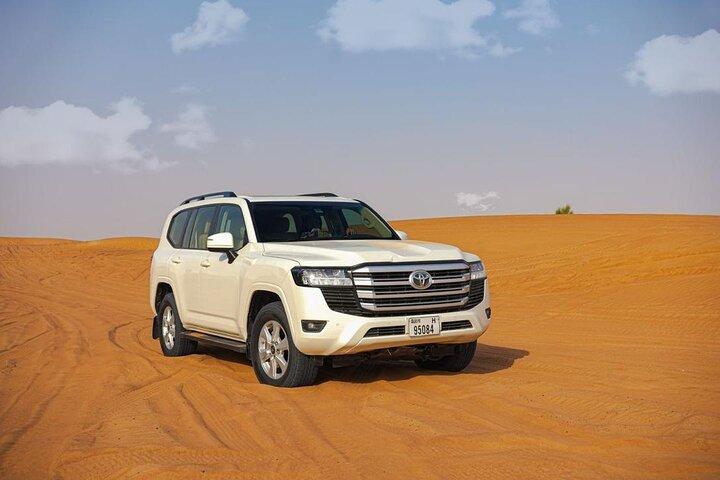 Dubai Skyline Expedition with Transportation