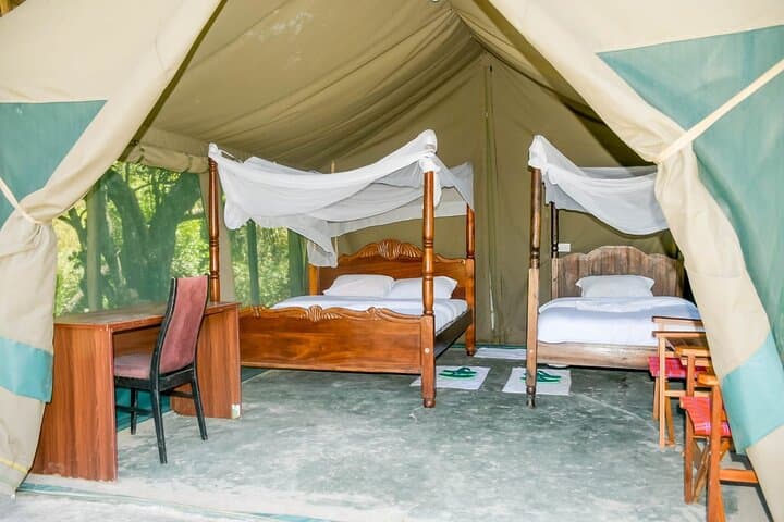 5-Day Safari in Maasai Mara, Lake Nakuru and Naivasha