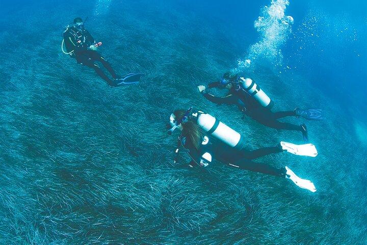 Double Dive in the Bay Park for certified divers
