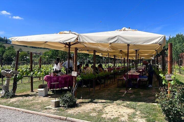 Florence: Siena and San Gimignano, Full Day Private Wine Tour