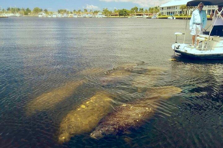 Manatee Sightseeing and Wildlife Boat Tour