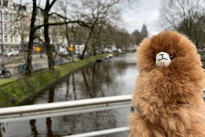Amsterdam Red Light and Coffee Shops Private Guided Walking Tour