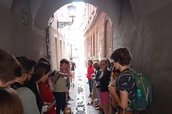 Old Town and Castle Group Tour in Ljubljana