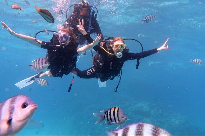 Red Sea Scuba Diving Adventure from Hurghada with Lunch &Transfer