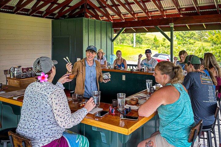 Big Island: Craft Chocolate Tasting and Farm Tour in Hilo