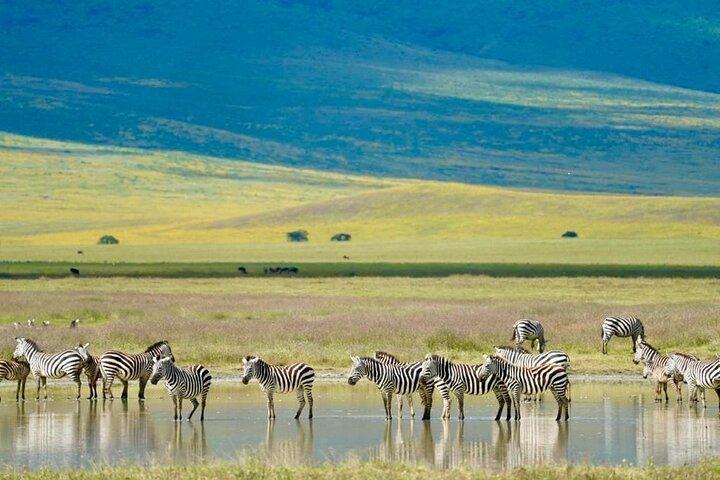 East Africa Safari Adventure in Tanzania