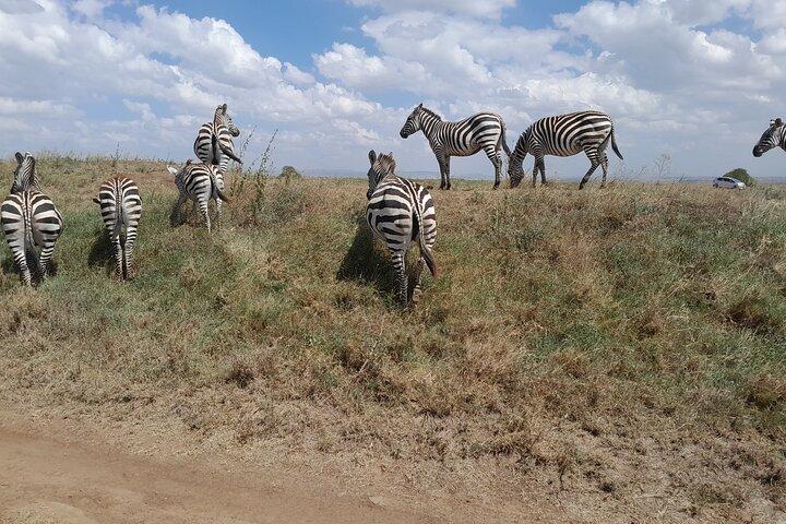 Nairobi National Park Giraffe Center and Carnivore Restaurant