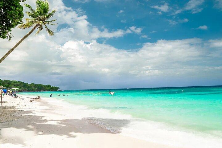 Full Day Tour to Playa Blanca Baru with Lunch