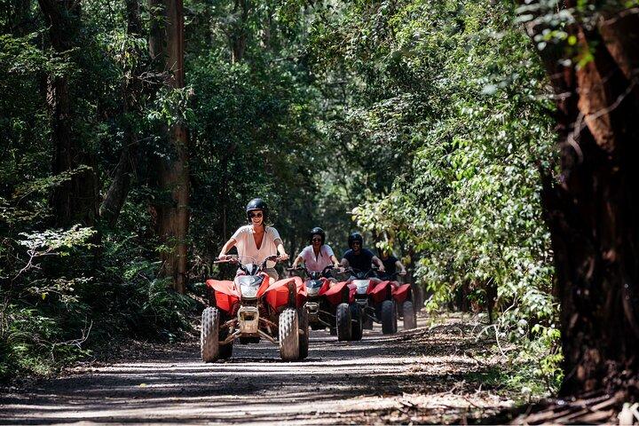 Quad Biking, Koalas and Kangaroos - Private Tour