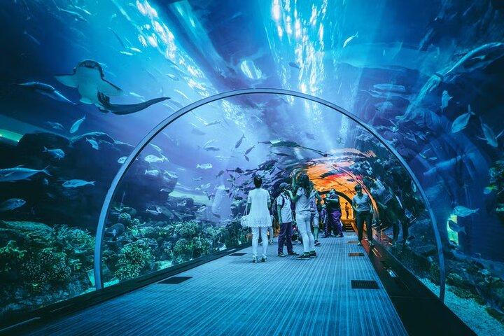 Aquaria KLCC Admission Ticket in Kuala Lumpur