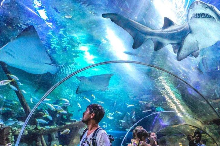 Aquaria KLCC Admission Ticket in Kuala Lumpur
