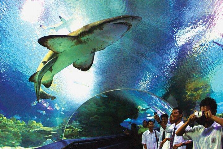 Aquaria KLCC Admission Ticket in Kuala Lumpur