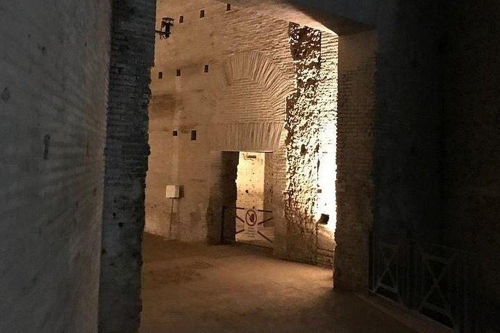 Domus Aurea Skip the Line Ticket Guided Tour
