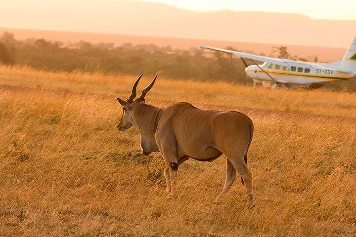 12 Days of Zanzibar and Tanzania Combining Paradise and Nature