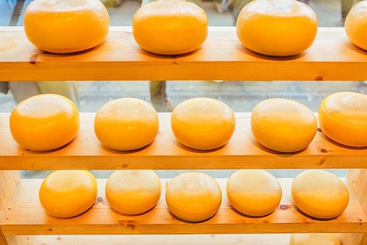 Guided Dutch Cheese Tasting Experience in Amsterdam with Wine