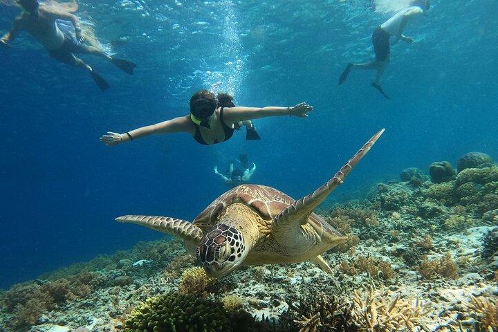 Gili Island Exclusive Private Snorkeling Underwater Escape